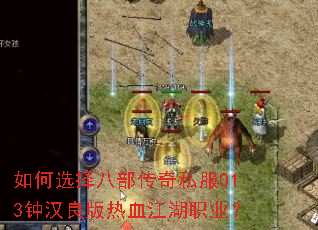 ���ѡ��˲�����˽��013�Ӻ�������Ѫ����ְҵ��