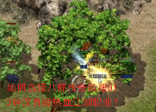 ���ѡ��˲�����˽��013�Ӻ�������Ѫ����ְҵ��