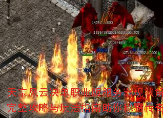 ���ڷ��ƾ���ְҵ���������״�����������������淨ָ������ưԴ�������