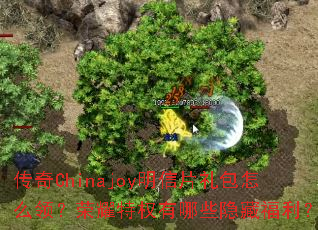 ����Chinajoy����Ƭ�����ô�죿��ҫ��Ȩ����Щ���ظ�����