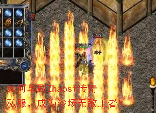 ��ε�ˢZhaosf����˽������Ϊɳ���޵����ߣ�