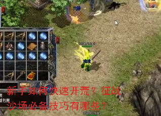 新手如何快速开荒?征战沙场必备技巧有哪些? 新手如何快速开荒?征战沙场必备技巧有哪些?