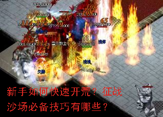 新手如何快速开荒?征战沙场必备技巧有哪些? 新手如何快速开荒?征战沙场必备技巧有哪些?