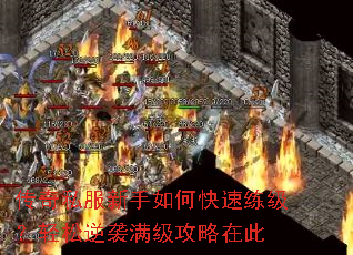 ����˽��������ο���������������Ϯ���������ڴ�