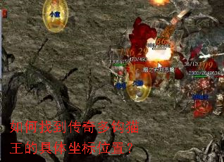 ����ҵ�����๳è���ľ�������λ�ã�