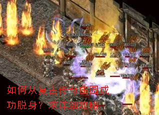 ��δӸ��Ŵ���ׯ԰�ɹ�����������ϸ����