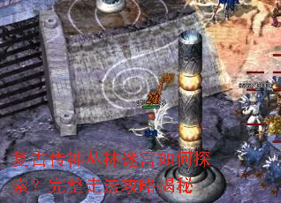 ���Ŵ�������Թ����̽���������߷����Խ���