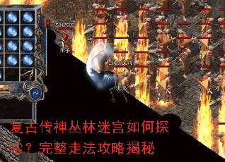���Ŵ�������Թ����̽���������߷����Խ���