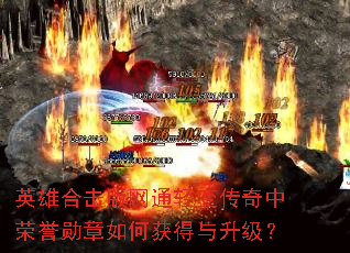 Ӣ�ۺϻ�����ͨ��䴫��������ѫ����λ����������