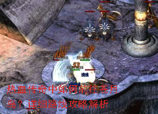热血传奇中如何前往苍月岛?详细路线攻略解析 热血传奇中如何前往苍月岛?详细路线攻略解析