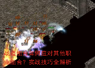 ս��������Ӧ������ְҵ��ϣ�ʵս����ȫ����