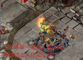 千年开服一条龙,新手如何快速上手称霸江湖? 千年开服一条龙,新手如何快速上手称霸江湖?