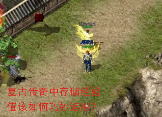 ���Ŵ����д洢����ֵ������������ã�