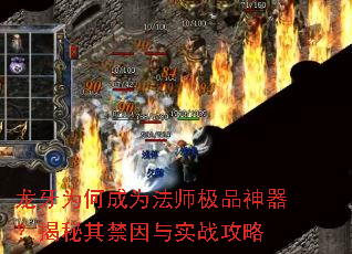 ����Ϊ�γ�Ϊ��ʦ��Ʒ�����������������ʵս����