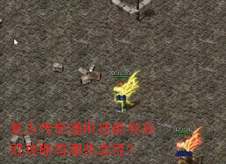 ���Ŵ���ͨ�ü��ܾ���ȡ��������Щ;����