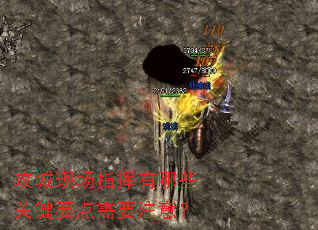 �����ֳ�ָ������Щ�ؼ�Ҫ����Ҫע�⣿