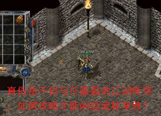 �������Ⱥ����ӯӯ�Ľ�����������ι��Բ����ʶ���������