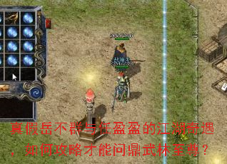 �������Ⱥ����ӯӯ�Ľ�����������ι��Բ����ʶ���������