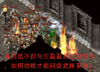 �������Ⱥ����ӯӯ�Ľ�����������ι��Բ����ʶ���������
