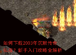 �������2003���Ĭ����˽�����������Ź���ȫ����