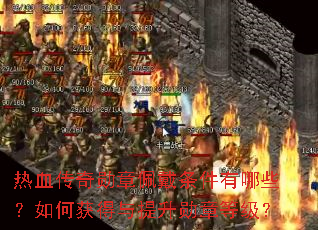 ��Ѫ����ѫ�������������Щ����λ��������ѫ�µȼ���