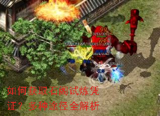 ��λ�ȡʯ������ƾ֤������;��ȫ����