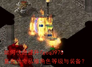 ��ο�������fgcq3975���Ŵ���˽����ɫ�ȼ���װ����