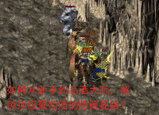 ��δ����ֵ�Ʒ�ƴ�ʦ�������������ѾƵ������ؼ���