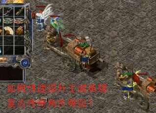 如何快速提升王城英雄复古传奇角色等级? 如何快速提升王城英雄复古传奇角色等级?