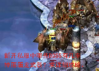 新开私服中哪些BOSS有几率掉落屠龙武器?求详细攻略。 新开私服中哪些BOSS有几率掉落屠龙武器?求详细攻略。
