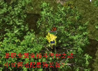 ��ְҵ�ƽ�񶷴���֮ս����δ�����ǿװ����