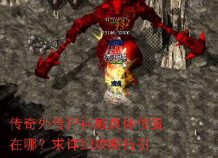 �����⴫ʬ������λ�����ģ�����ϸ����ָ��