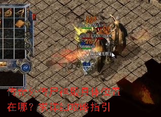 �����⴫ʬ������λ�����ģ�����ϸ����ָ��