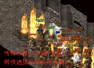 ����˽��sf123������ο��������ȼ���װ����