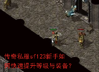 ����˽��sf123������ο��������ȼ���װ����