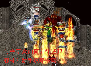 ����������ǰ������ɭ�֣����ֹ���ָ��