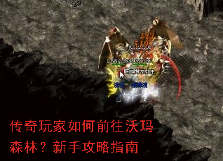 ����������ǰ������ɭ�֣����ֹ���ָ��