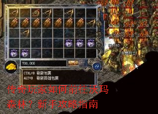 ����������ǰ������ɭ�֣����ֹ���ָ��