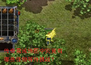 传奇雪域地图中究竟有哪些怪物等待挑战? 传奇雪域地图中究竟有哪些怪物等待挑战?