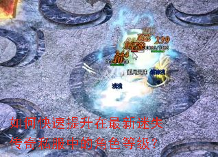 如何快速提升在最新迷失传奇私服中的角色等级? 如何快速提升在最新迷失传奇私服中的角色等级?