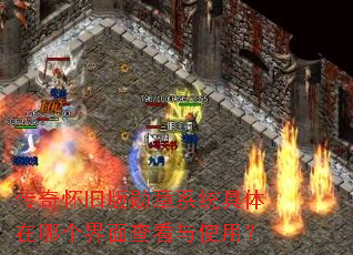 ���滳�ɰ�ѫ��ϵͳ�������ĸ�����鿴��ʹ�ã�
