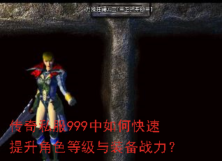����˽��999����ο���������ɫ�ȼ���װ��ս����
