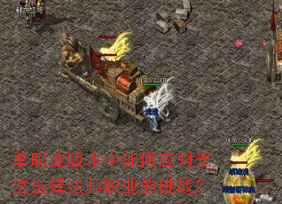 ��ְҵ�汾�����Ӧ���޷�ѡ��ʦְҵ����ս��