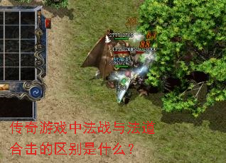 传奇游戏中法战与法道合击的区别是什么? 传奇游戏中法战与法道合击的区别是什么?
