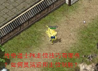�����ʿPK��λ��������Щ��������������λ��ʤ��
