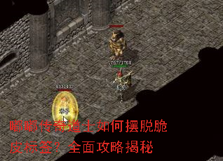 �ུ����ʿ��ΰ��Ѵ�Ƥ��ǩ��ȫ�湥�Խ���