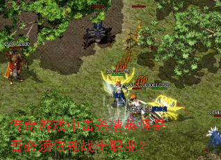 ������Ϸ�л�ɱ��Ӣ���Ƿ��������սʿְҵ��