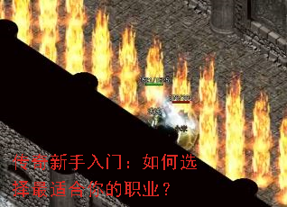 �����������ţ����ѡ�����ʺ����ְҵ��