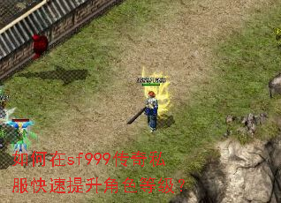 �����sf999����˽������������ɫ�ȼ���