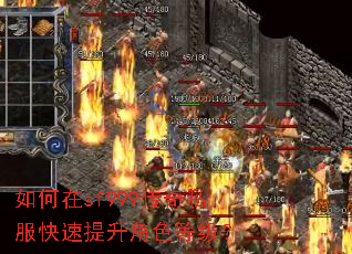 �����sf999����˽������������ɫ�ȼ���